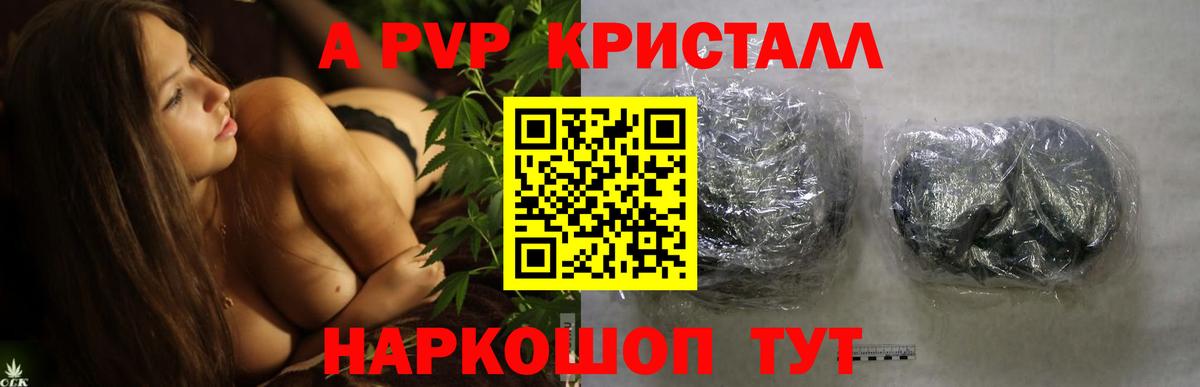Камень-на-Оби  Alfa_PVP  Вход с VPN  A PVP крисы CK 