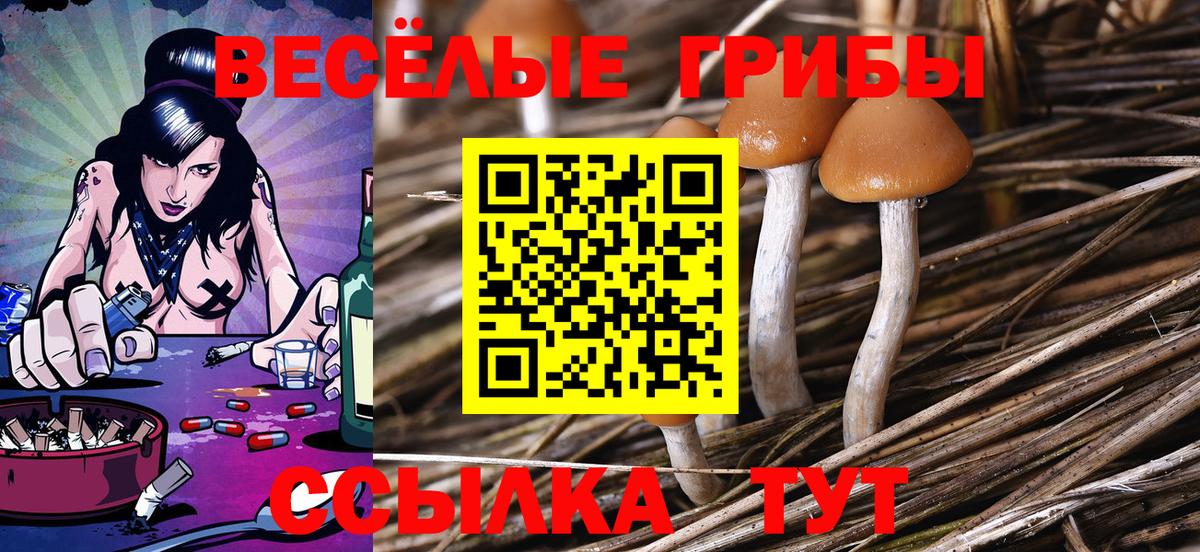 Псилоцибиновые грибы ЛСД Камень-на-Оби