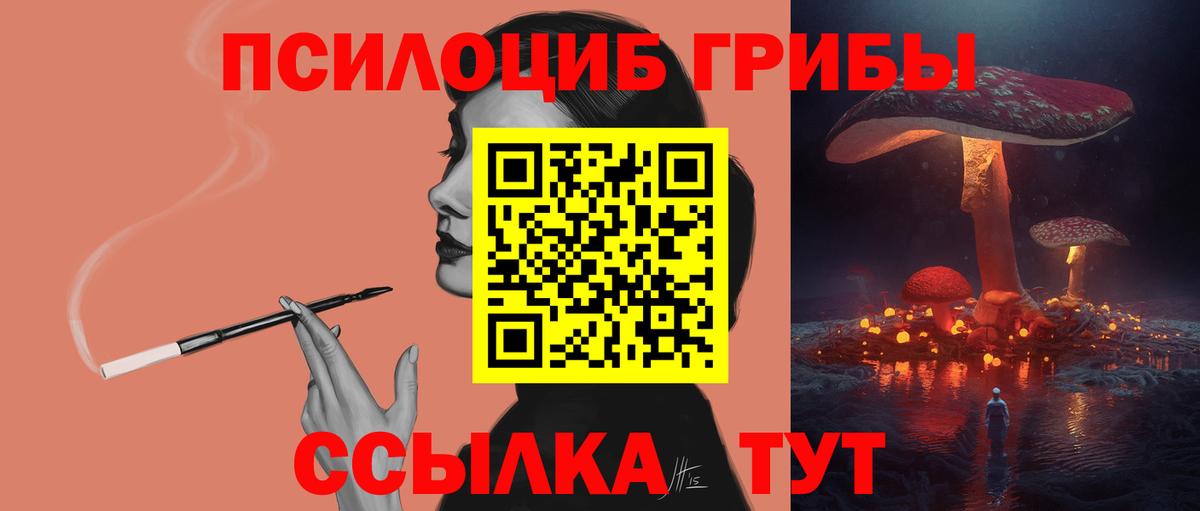 Галлюциногенные грибы Psilocybe  Вход с VPN  Камень-на-Оби 